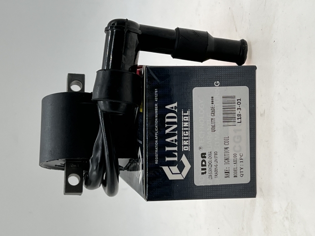 repuesto de moto MOTO71 — BOBINA AX100 CON CACHIMBO